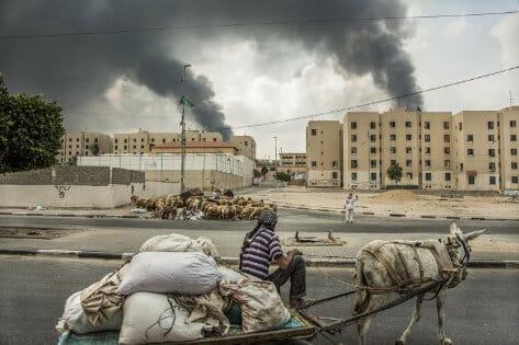 Gaza  thumb